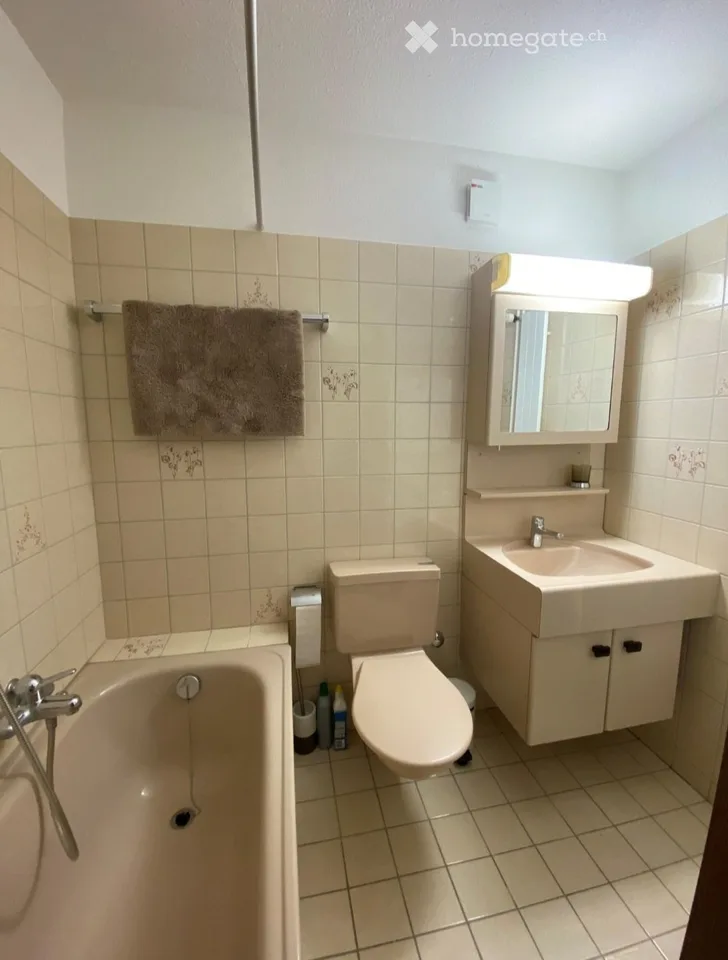 Charming 2.5-room attic apartment in Bassersdorf, furnished