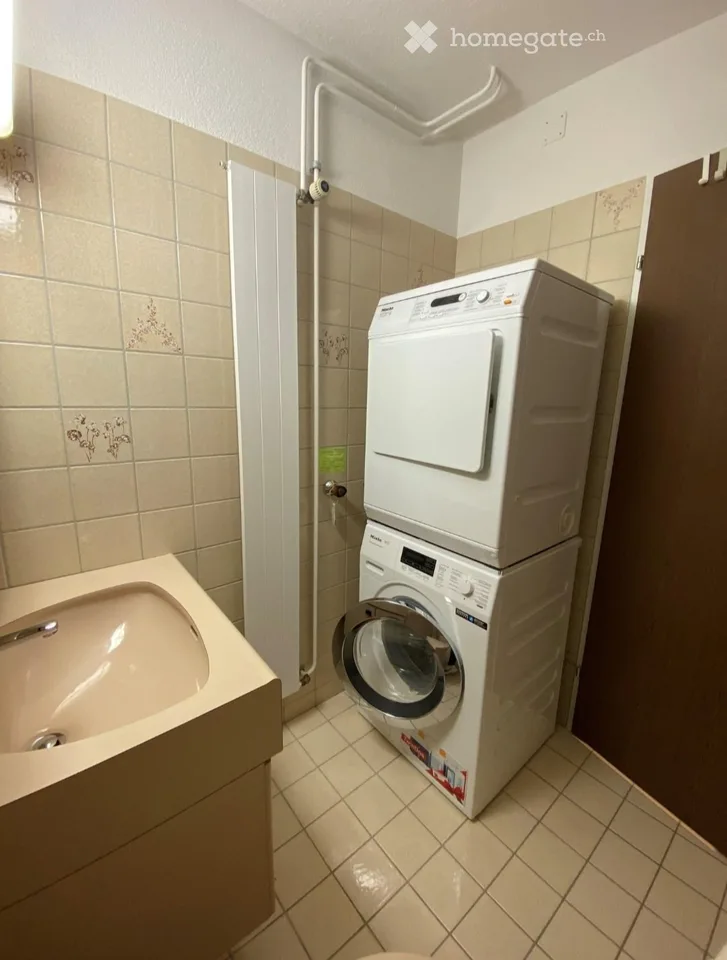 Charming 2.5-room attic apartment in Bassersdorf, furnished