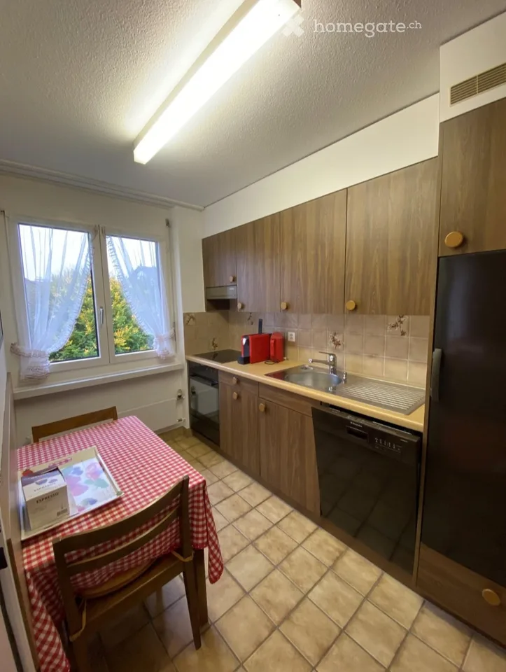 Charming 2.5-room attic apartment in Bassersdorf, furnished