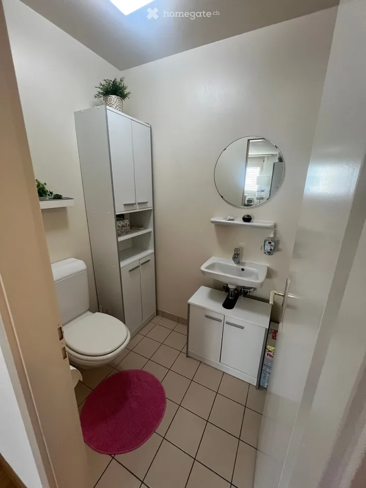 Ampio appartamento di 2,5 locali arredato con balcone a Clarens
