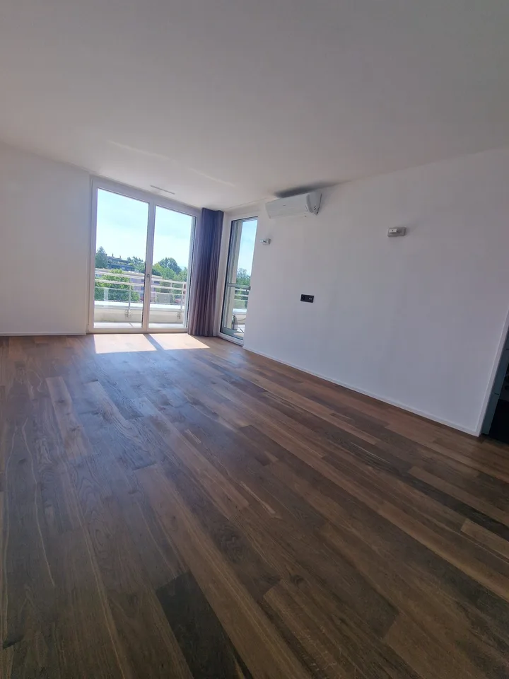 Exclusive 3.5-room attic apartment