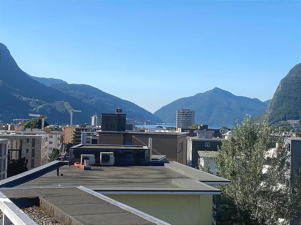 Pregassona singolare Attico ammobilito, moderno e luminoso con roof garden