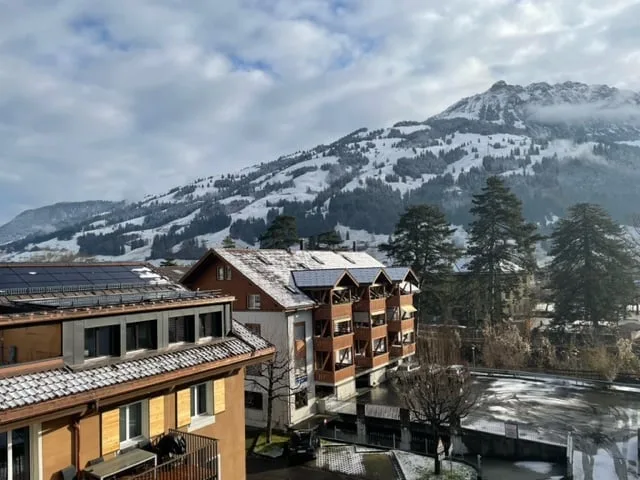 6.5 Zimmer-Wohnung mit Blick auf die schöne Bergwelt