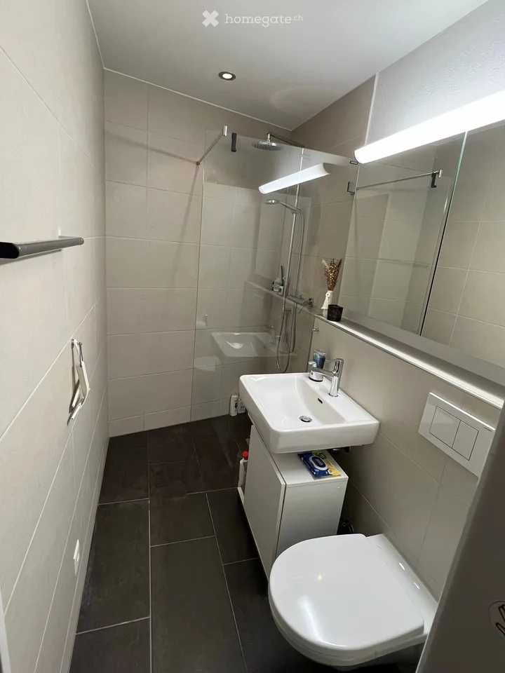 Schöne Wohnung in Grüningen sucht neue Mieter per 1.11.2026