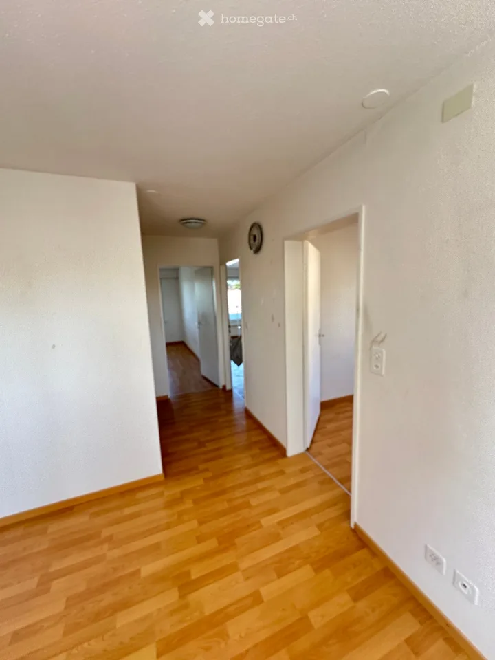 Apartment for Rent in Neuhausen