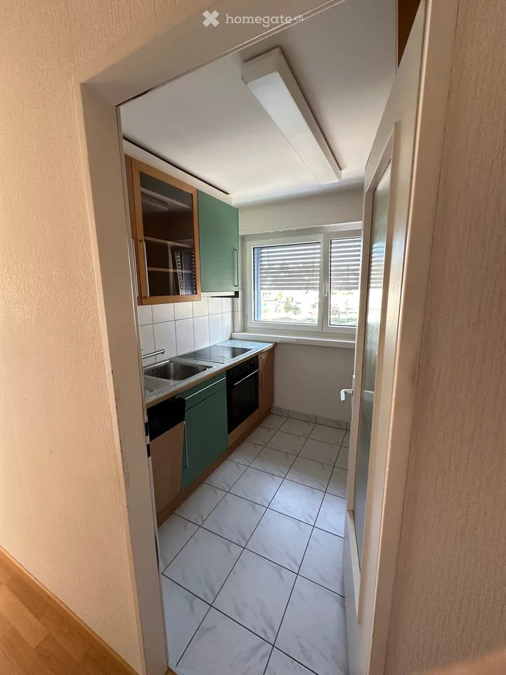 Apartment for Rent in Neuhausen