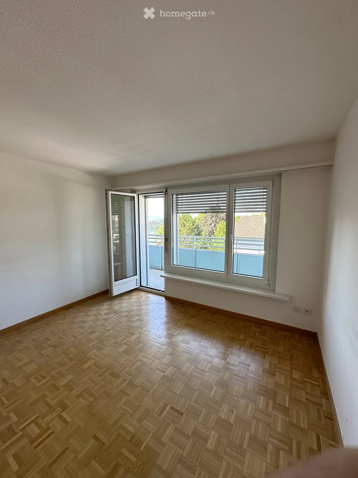 Apartment for Rent in Neuhausen