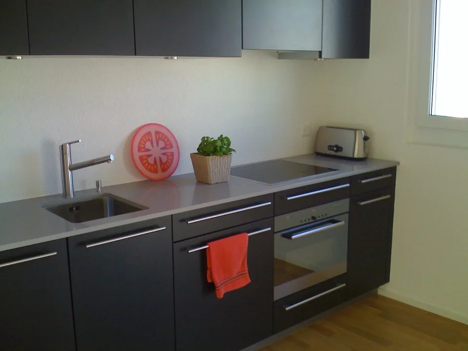 Möblierte 3,5 Zimmer/ 2 bedroom apartment in Adliswil (Zurich)