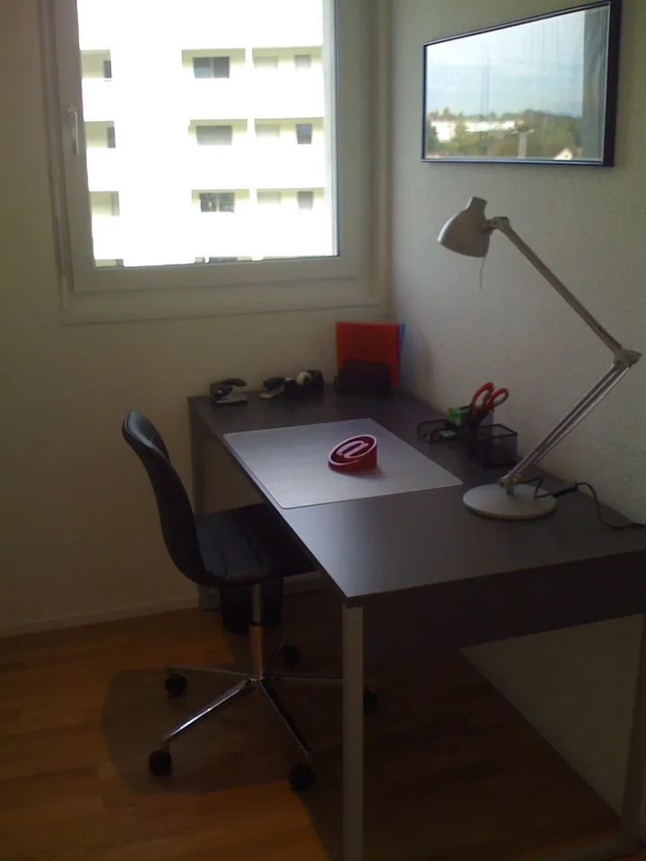 Möblierte 3,5 Zimmer/ 2 bedroom apartment in Adliswil (Zurich)