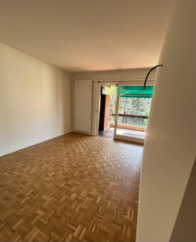Accogliente appartamento di 2 locali con balcone - Rinnovato