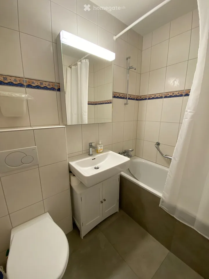 2.5 Apartment Zurich from 1 August 2026