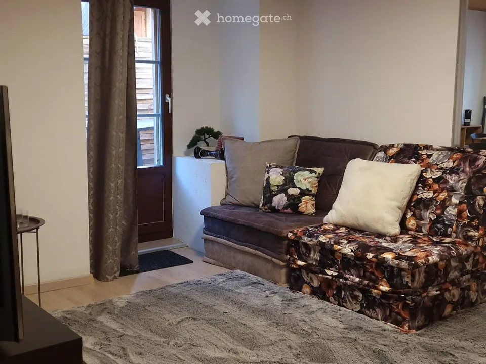 Large 3.5 with terrace