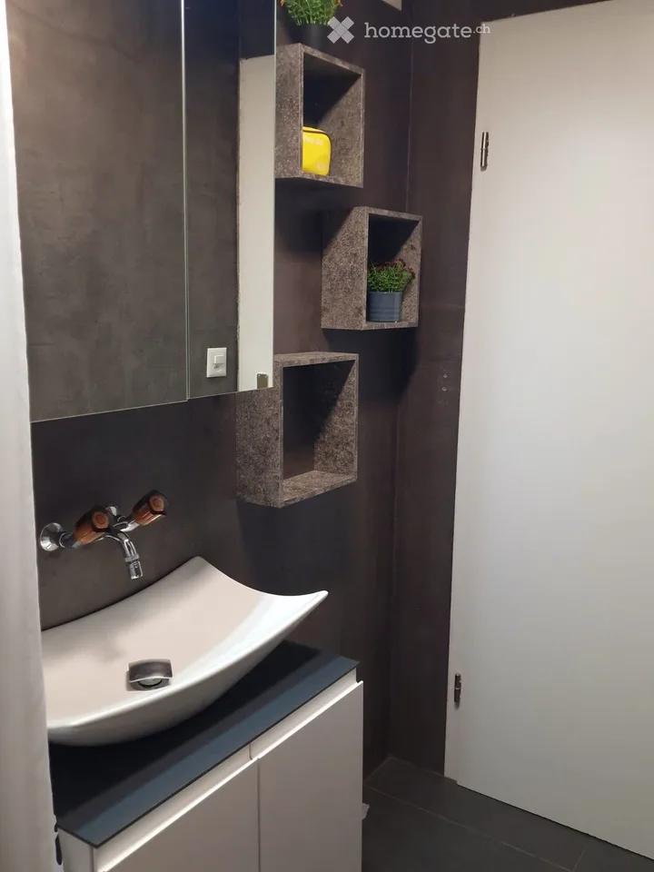 Large 3.5 with terrace