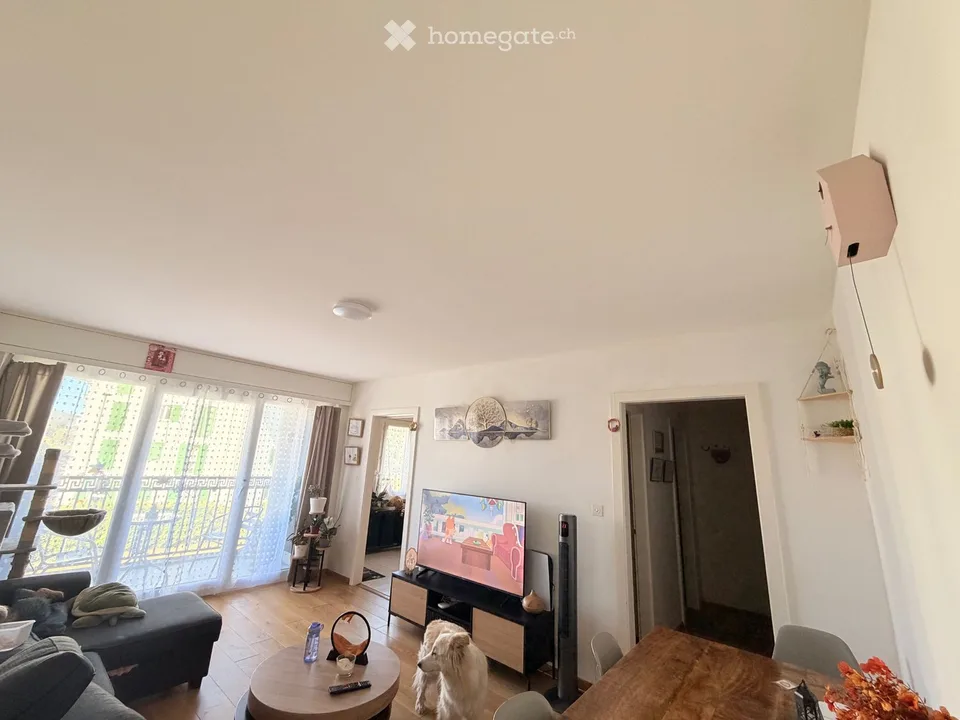 Vier-Zimmer-Wohnung zur Miete