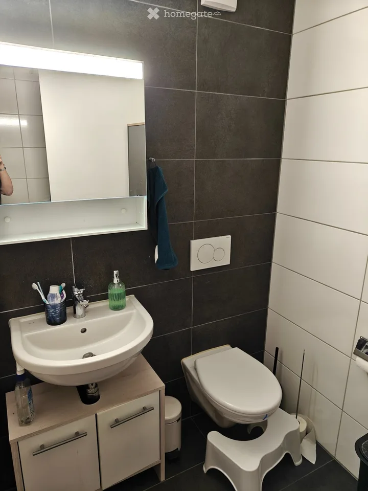 Zu vermieten 1.5 Zimmer helles Apartment im Schoenberg Viertel Freiburg