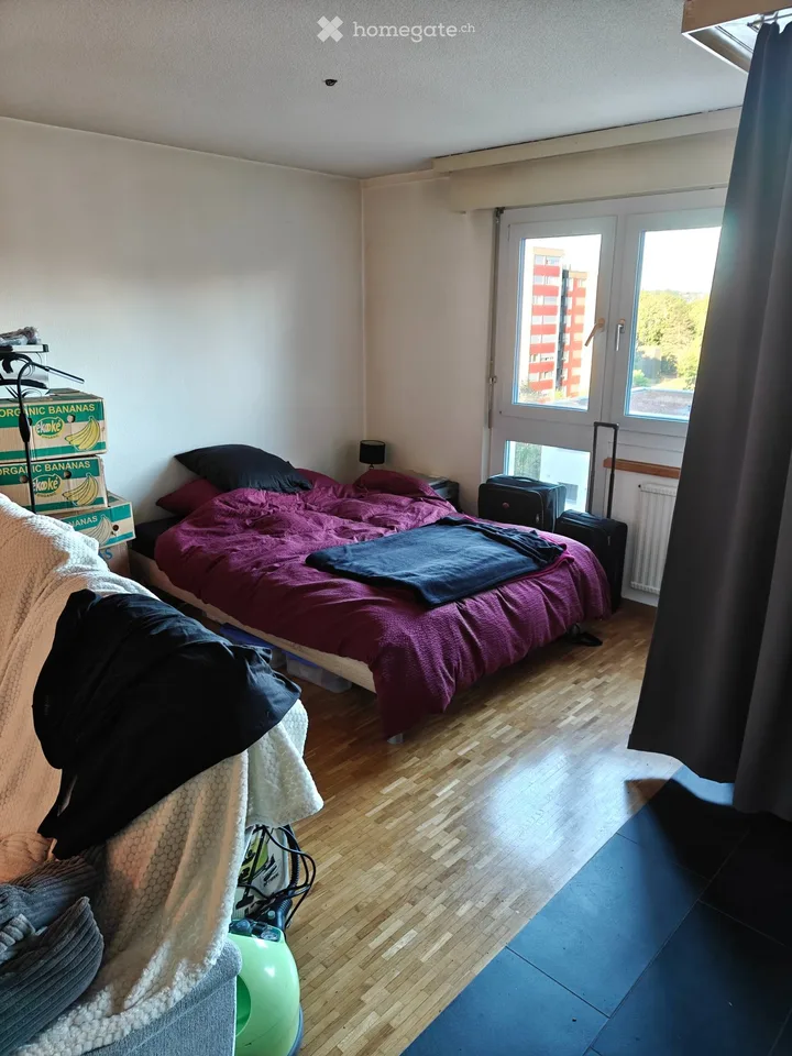 Zu vermieten 1.5 Zimmer helles Apartment im Schoenberg Viertel Freiburg