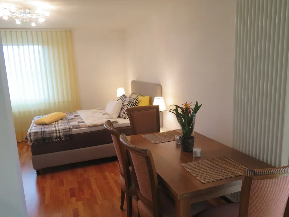 1 appartement avec terrasse meublé