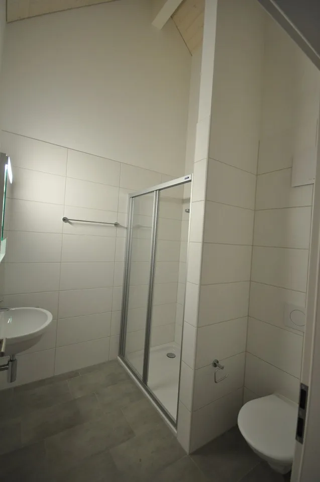 Charming 2.5-room attic apartment