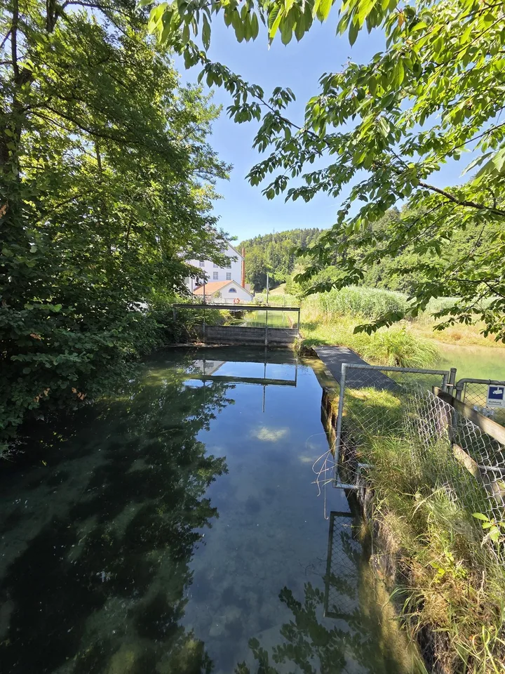 Villa Bühler | ZH – Foto 9 von 13
