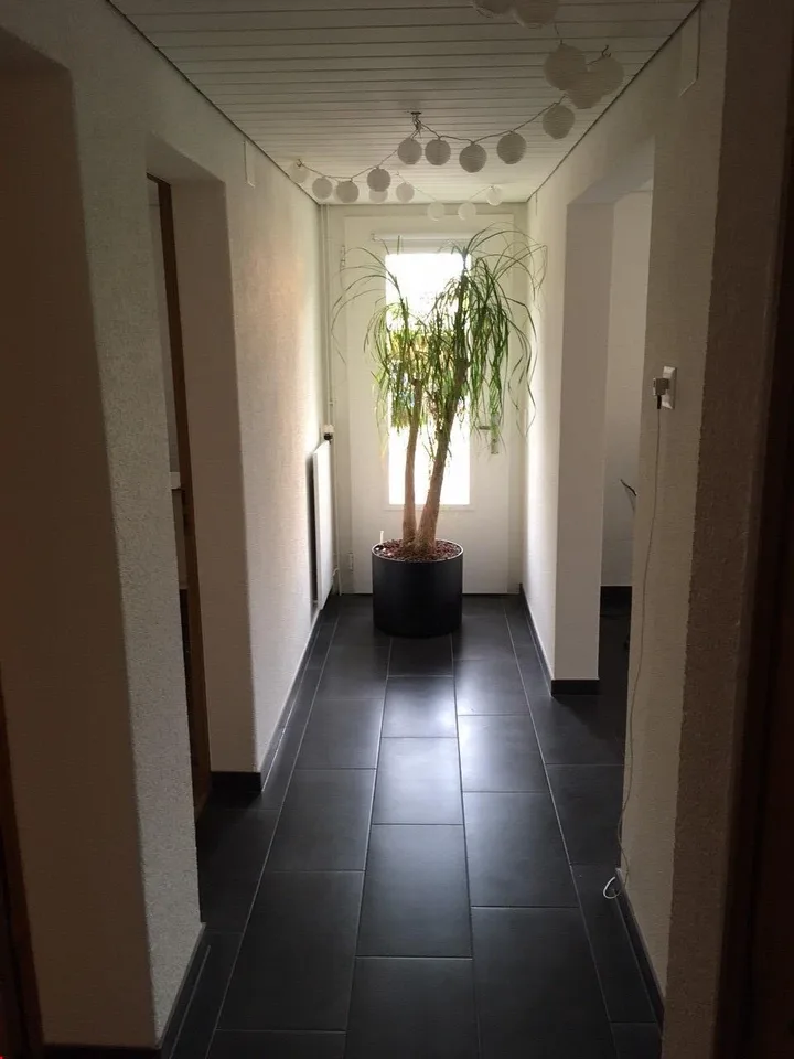 Heimelige 2- Zimmerwohnung