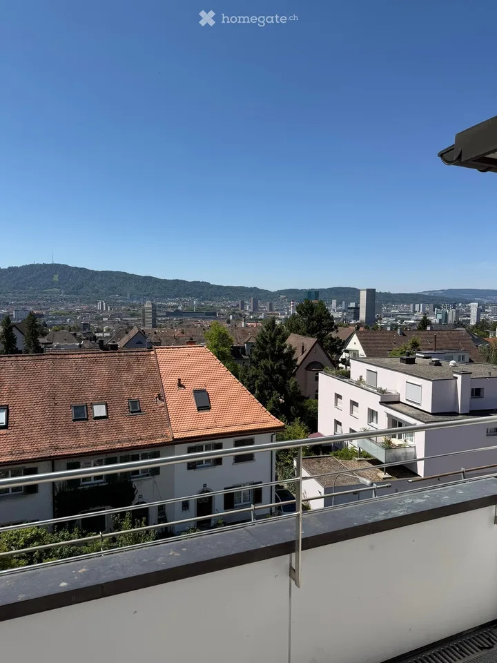 Incantevole appartamento di 2,5 locali sotto il tetto su Langmauerstrasse a Zurigo