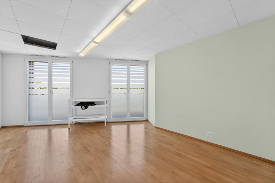Propriété commerciale / bureau / cabinet en lieu calme à Hergiswil