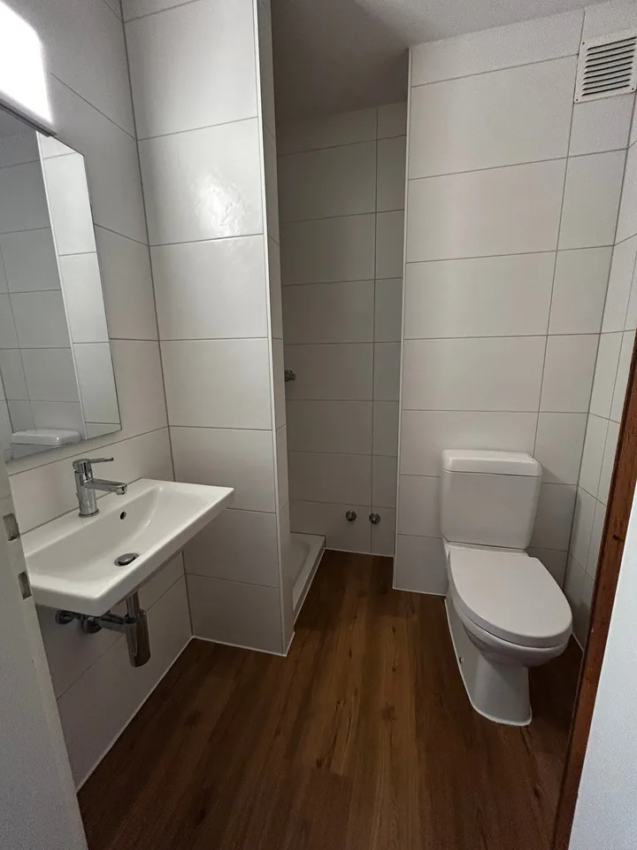 Helle 1-Zimmer-Wohnung mit Balkon - Nähe Zoo Basel