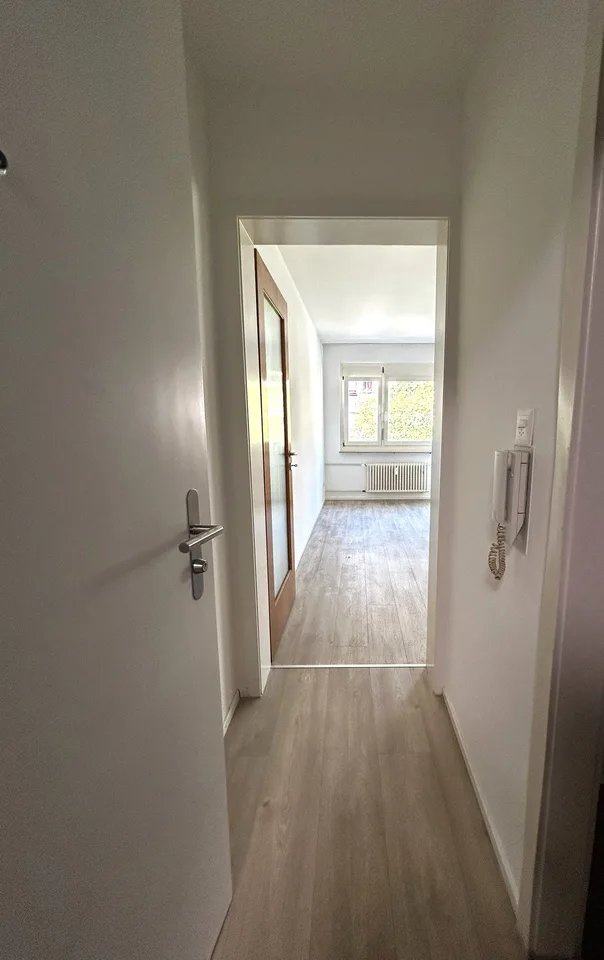 Helle 1-Zimmer-Wohnung mit Balkon - Nähe Zoo Basel