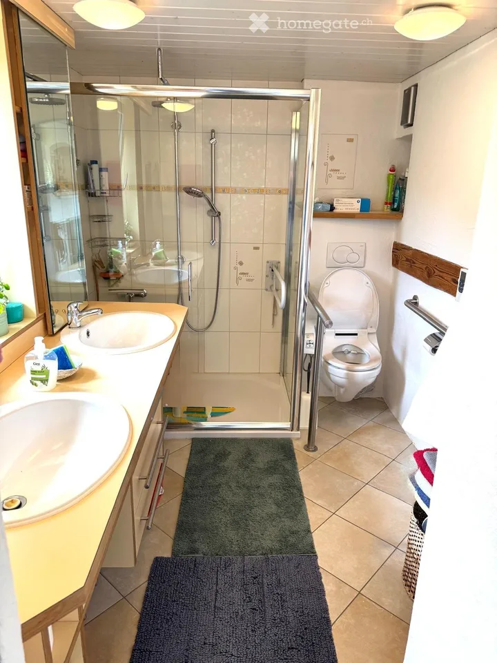 Appartement en mansarde lumineux 3 pièces avec caractère loft et vue panoramique