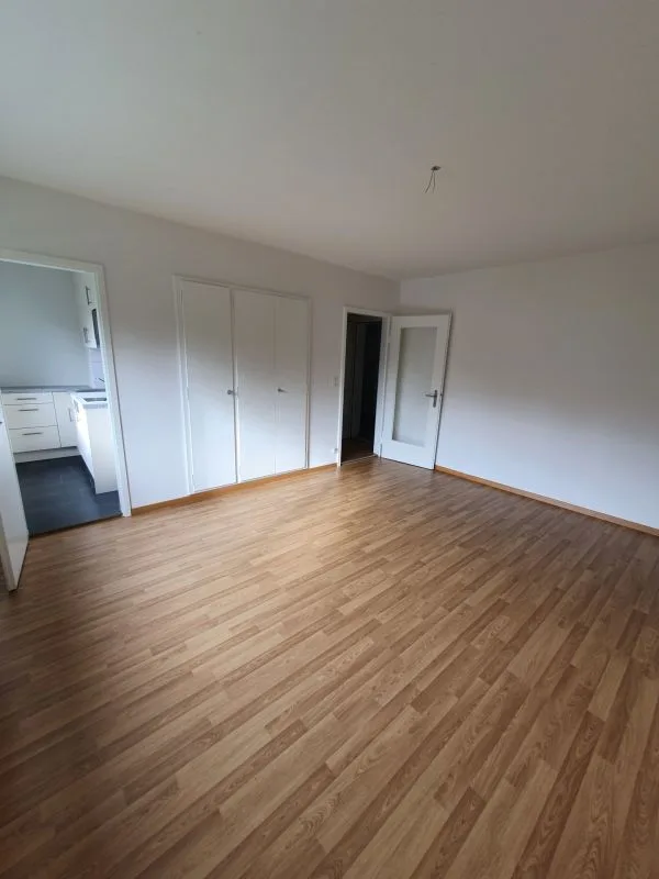Bello appartamento monolocale a Olten