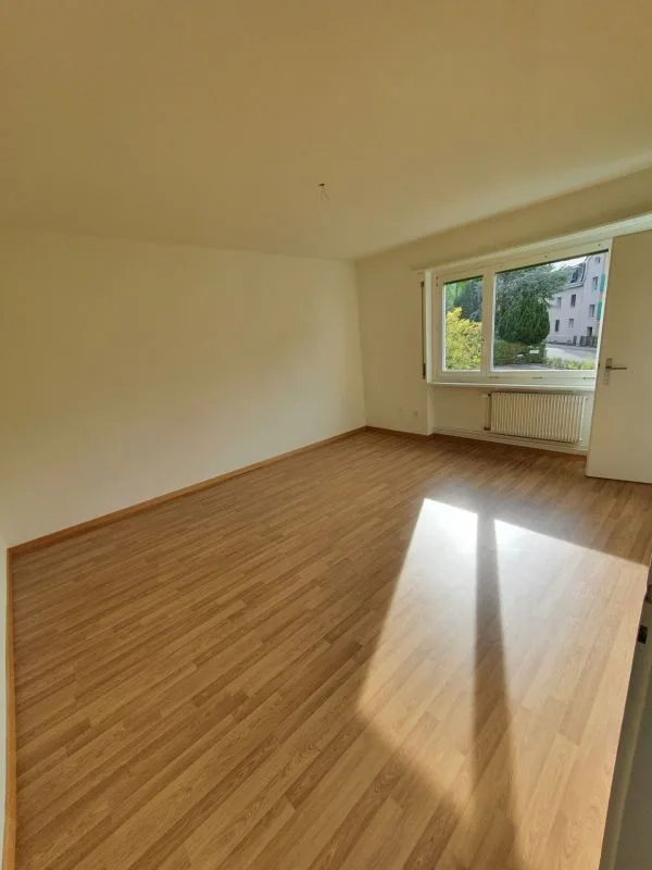 Bello appartamento monolocale a Olten