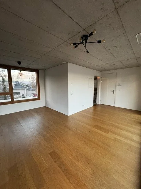 Appartamento moderno di 1,5 locali in affitto a Merenschwand!