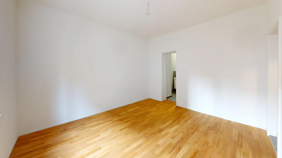 Appartamento 1 camera moderno in affitto vicino a Helvetiaplatz!