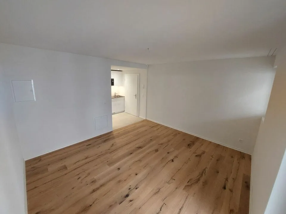 Helle Studio-Neubauwohnung beim Escher Wyss Platz - Erstvermietung