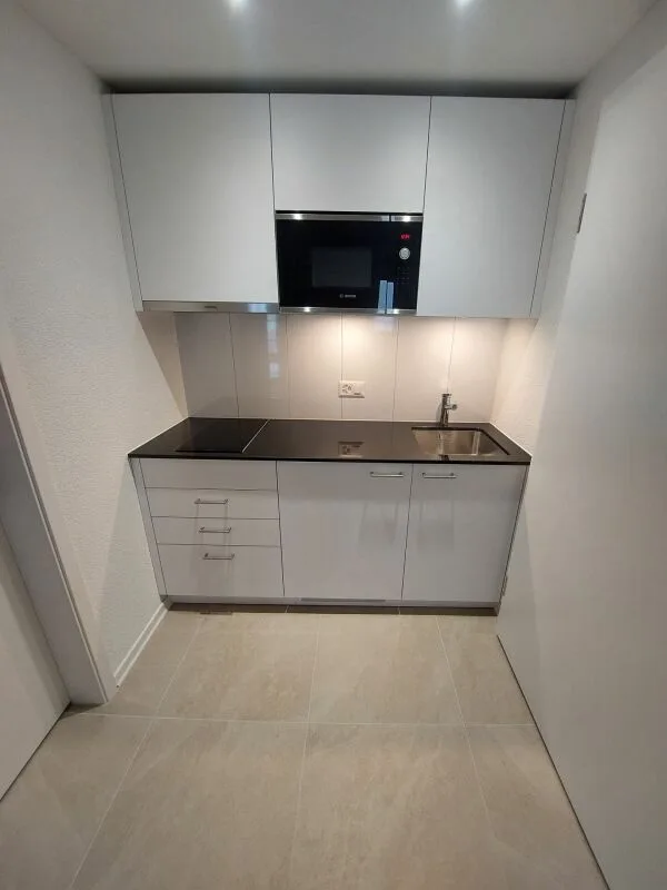 Appartamento studio nuovo luminoso presso Escher Wyss Platz - Primo affitto