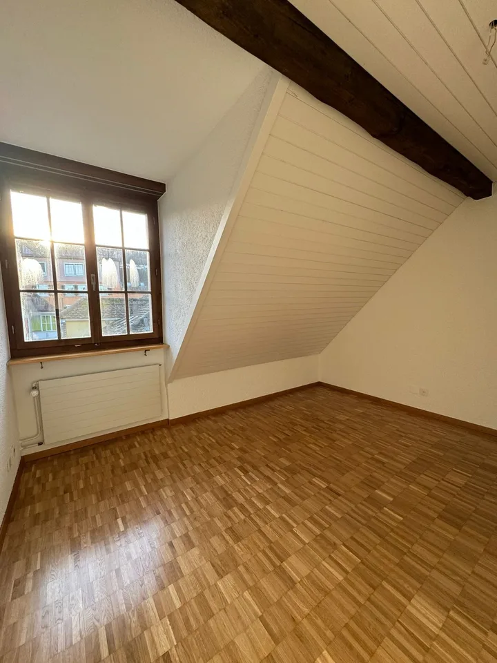 Incantevole appartamento di 4 locali in un edificio storico con vista sul lago a Horgen