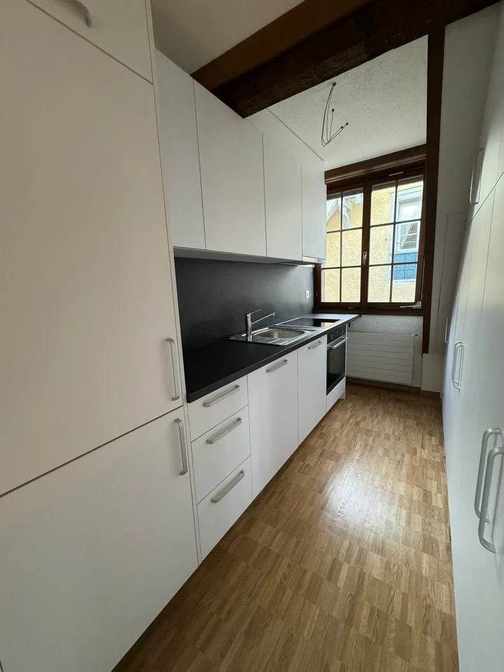Incantevole appartamento di 4 locali in un edificio storico con vista sul lago a Horgen