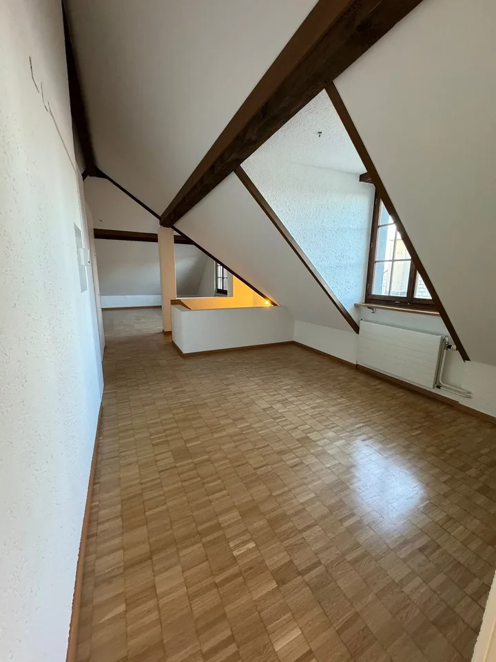 Incantevole appartamento di 4 locali in un edificio storico con vista sul lago a Horgen