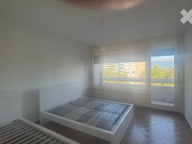 Geräumige 7-Zimmer-Wohnung mit Aussicht und Balkon in Le Grand-Saconnex