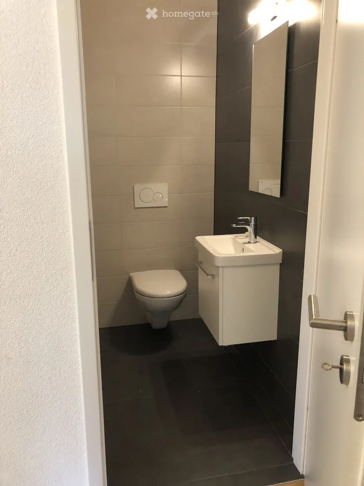 Ripreso in affitto - bel 3.5 locali di 82m2 con balcone
