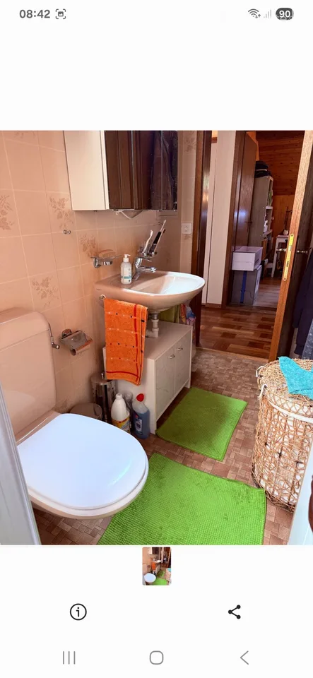 3 Zimmer Dachwohnung