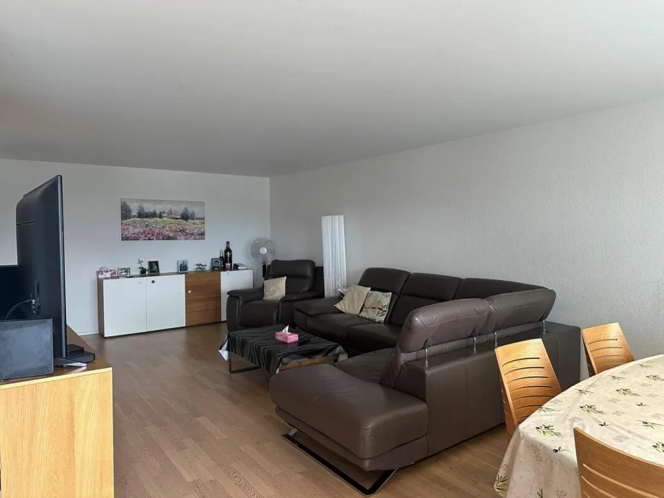 Ampio appartamento di 3.5 locali in una zona tranquilla