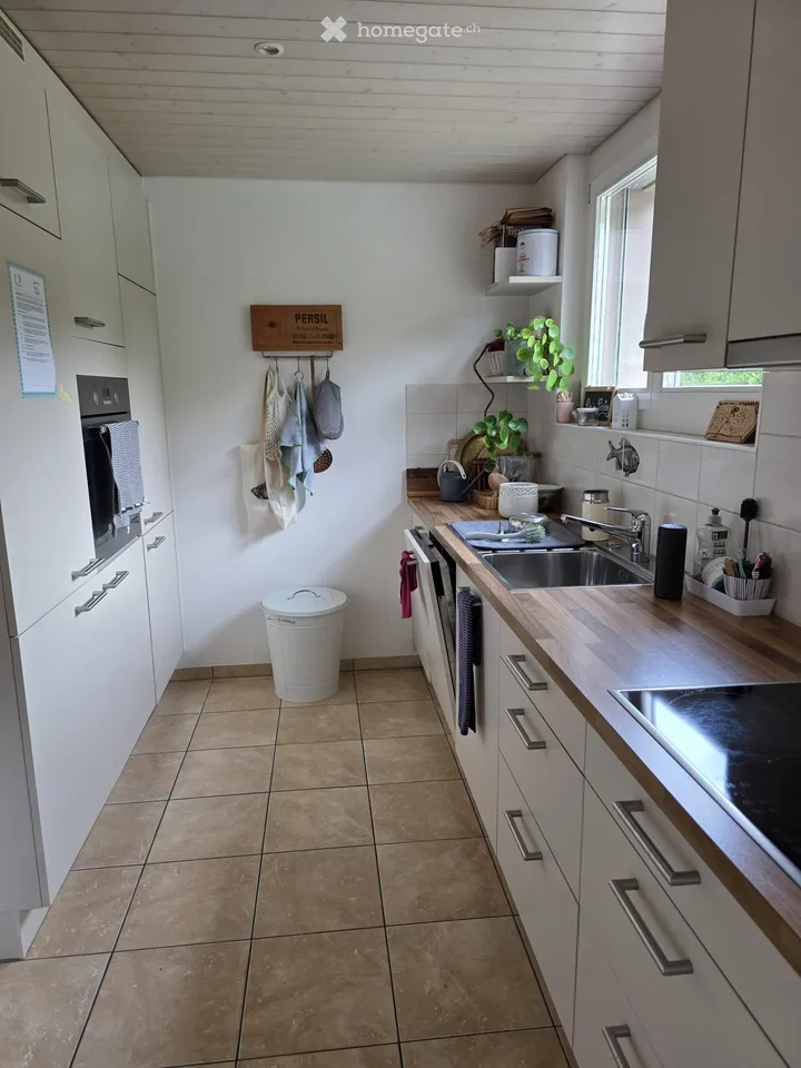 Charmante 3-Zimmer-Altbauwohnung mit Gartensitzplatz in Dornach