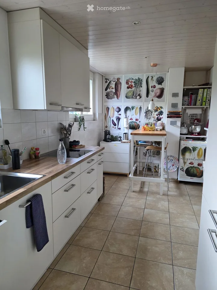 Charmante 3-Zimmer-Altbauwohnung mit Gartensitzplatz in Dornach