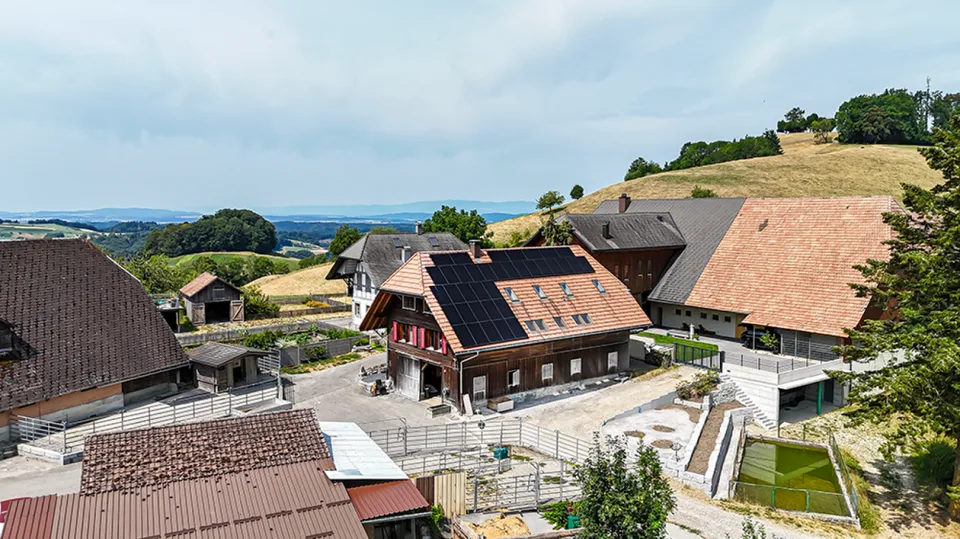 Vivre avec des chevaux - Propriété exclusive avec confort de vie de haute qualité et infrastructure équestre – photo 21 sur 24