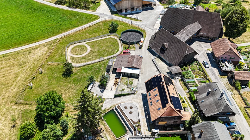 Vivre avec des chevaux - Propriété exclusive avec confort de vie de haute qualité et infrastructure équestre – photo 23 sur 24