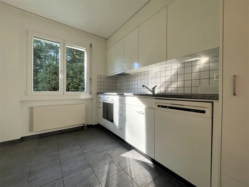 Ampio appartamento di 2.5 locali a Hunzenschwil