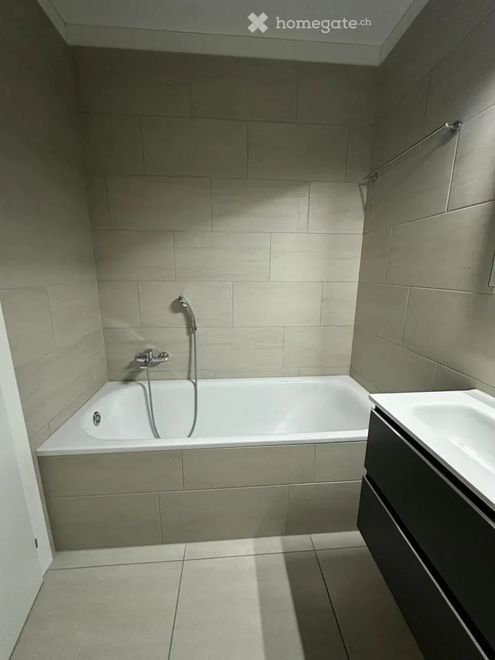 Recherche d'un sous-locataire pour un splendide appartement 4.5 pièces à Mendrisio