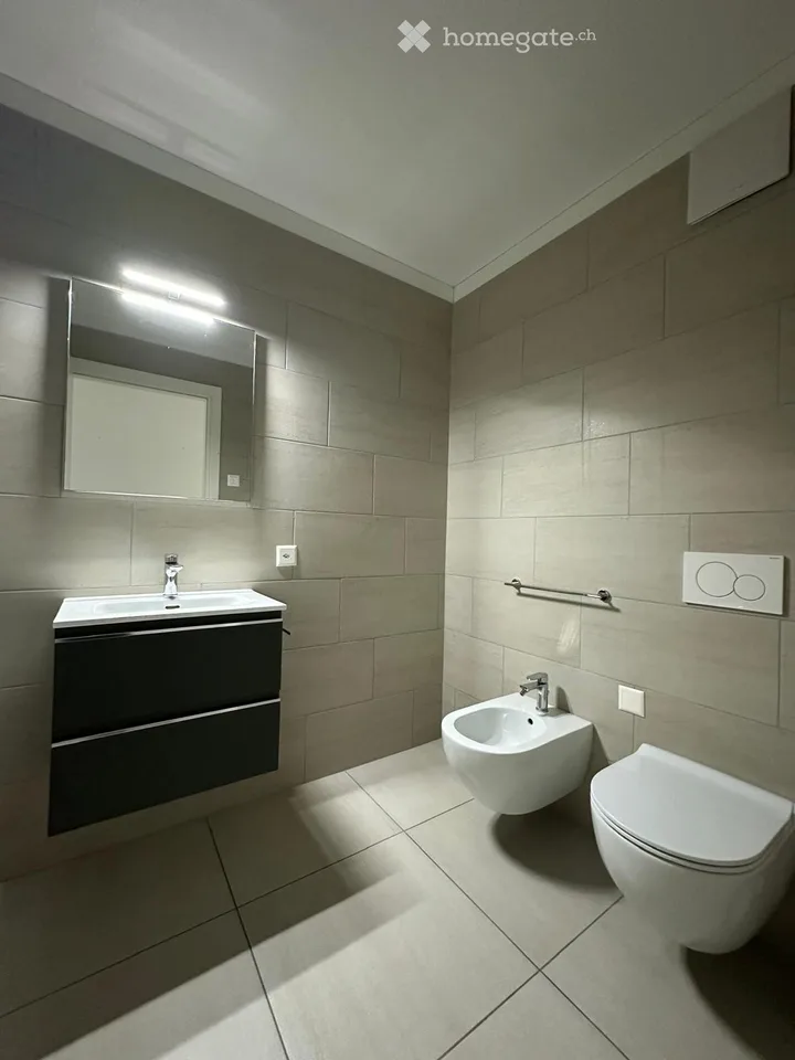 Recherche d'un sous-locataire pour un splendide appartement 4.5 pièces à Mendrisio