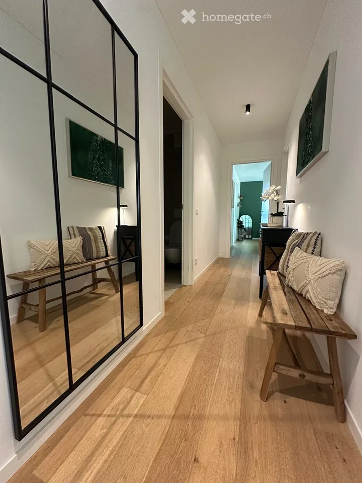 Cercasi subentrante  Splendido 4.5 moderno a Mendrisio